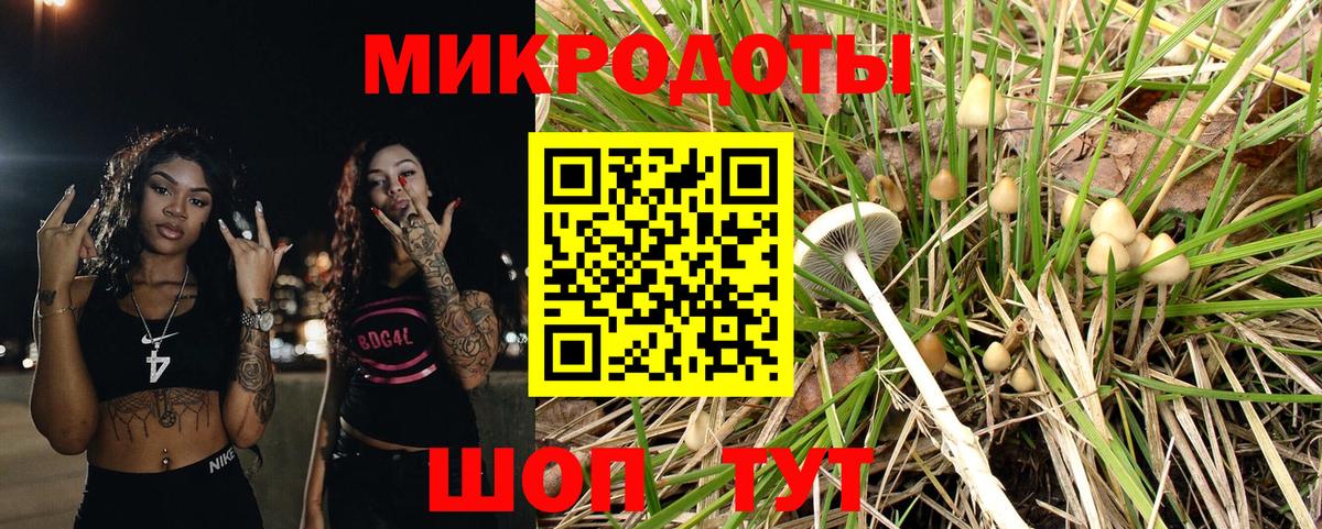 Галлюциногенные грибы Magic Shrooms Качканар